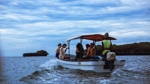 From Zanzibar: Jozani Forest With Watching Dolphin