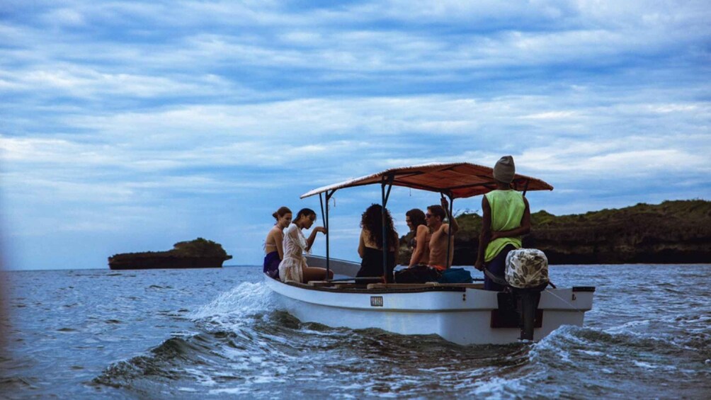 From Zanzibar: Jozani Forest With Watching Dolphin