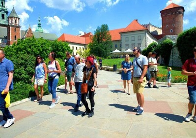 Krakow: Wawel Castle Guided Tour with Entry Tickets