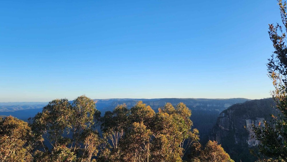 Picture 5 for Activity Sydney Blue Mountains, Scenic World, Featherdale