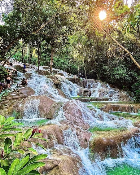 Picture 4 for Activity Dunn’s River Falls, Margaritaville Beach and Shopping Tour