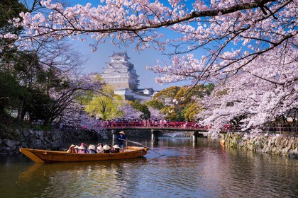 Desde Osaka: visita al castillo de Himeji, al jardín Kokoen y al templo
