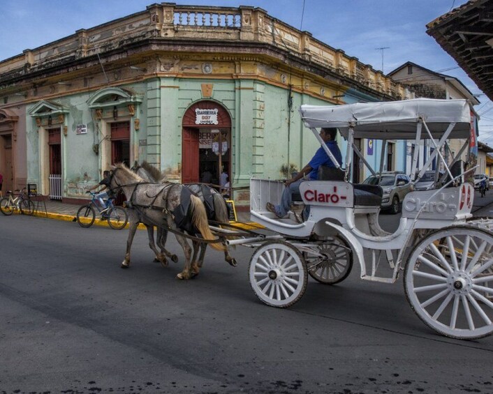 Picture 4 for Activity Experience Granadas Best Sights Carriage ride + Local Guide
