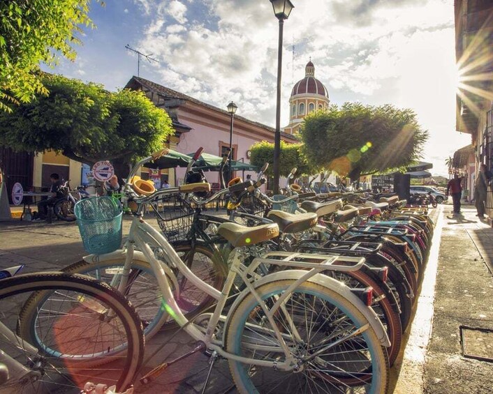 Picture 6 for Activity Experience Granadas Best Sights Carriage ride + Local Guide