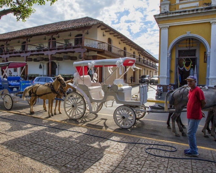Picture 2 for Activity Experience Granadas Best Sights Carriage ride + Local Guide