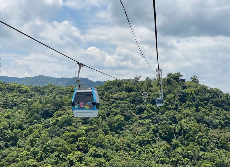 Picture 3 for Activity Taipei Makong Cable Car: Ticket & Combos