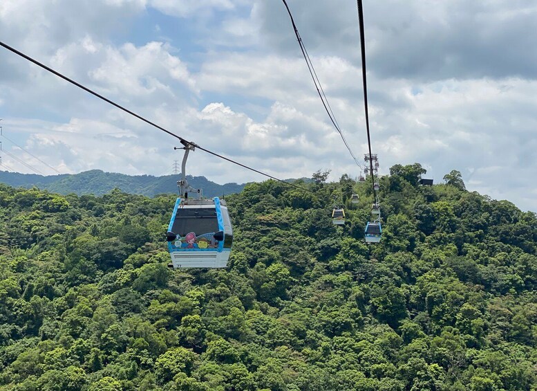 Picture 3 for Activity Taipei Makong Cable Car: Ticket & Combos