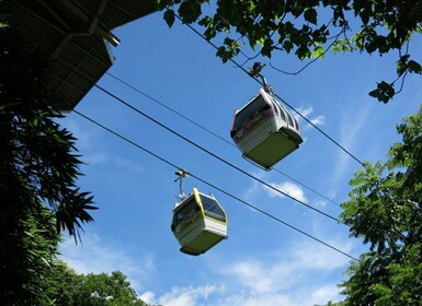 Taipei Makong Cable Car : Billets et combinaisons