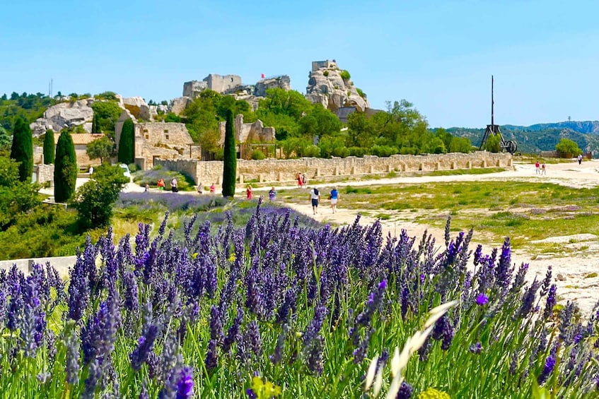 Picture 3 for Activity From Avignon: Arles, Les Baux-de-Provence & Saint-Rémy Tour