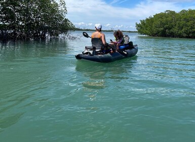 Fort Pierce: 6-hr Mangroves, Coastal Rivers & Wildlife in FL