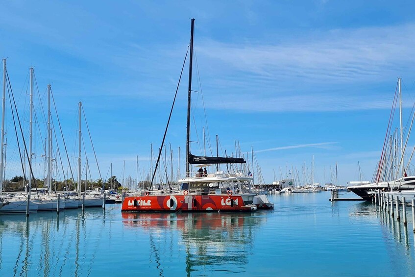 Picture 3 for Activity La Grande Motte: Le Grau-du-Roi Bay Catamaran Cruise