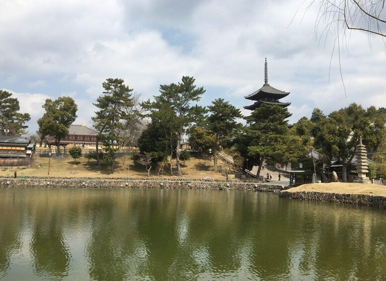 Picture 7 for Activity Nara: Half-Day Private Guided Tour