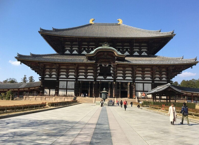 Picture 4 for Activity Nara: Half-Day Private Guided Tour