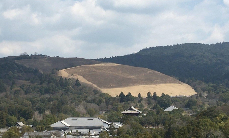 Picture 3 for Activity Nara: Half-Day Private Guided Tour