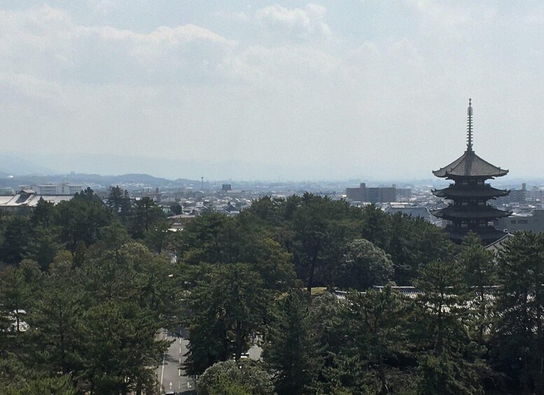 Picture 2 for Activity Nara: Half-Day Private Guided Tour