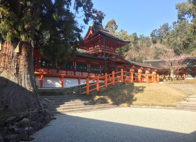 Picture 5 for Activity Nara: Half-Day Private Guided Tour