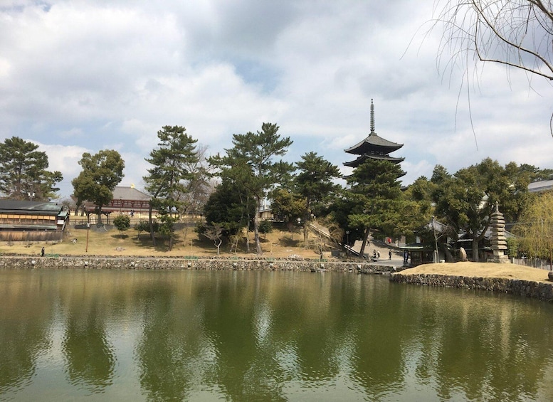 Picture 7 for Activity Nara: Half-Day Private Guided Tour