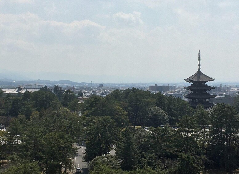 Picture 2 for Activity Nara: Half-Day Private Guided Tour