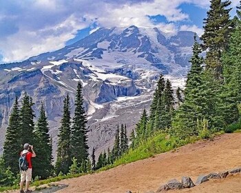 Depuis Seattle : Journée entière dans le parc national du Mont Rainier excu...