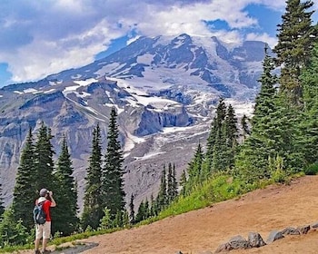 Depuis Seattle : Journée entière dans le parc national du Mont Rainier excu...