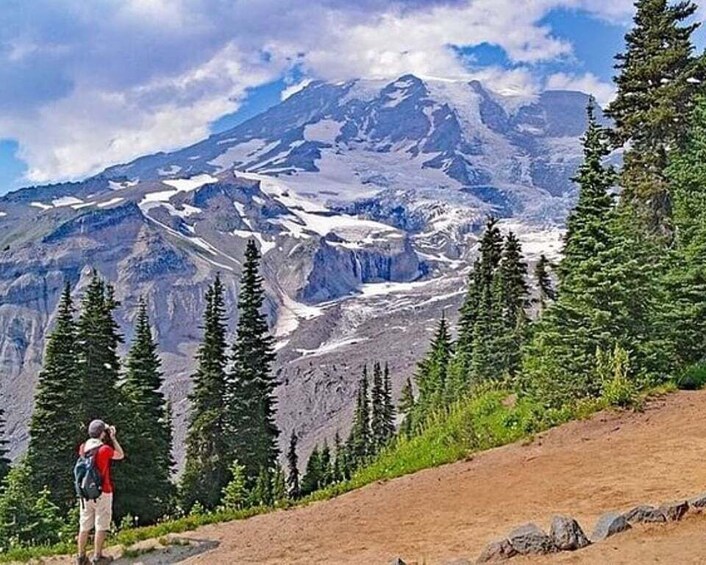 From Seattle: Full-Day Mt Rainier National Park Tour