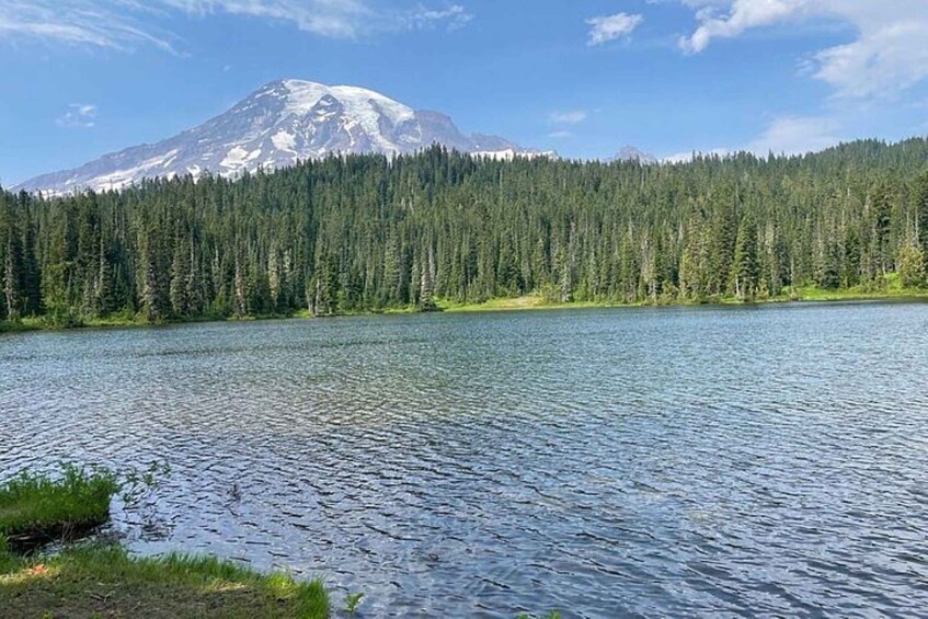 Picture 4 for Activity From Seattle: Full-Day Mt Rainier National Park Tour