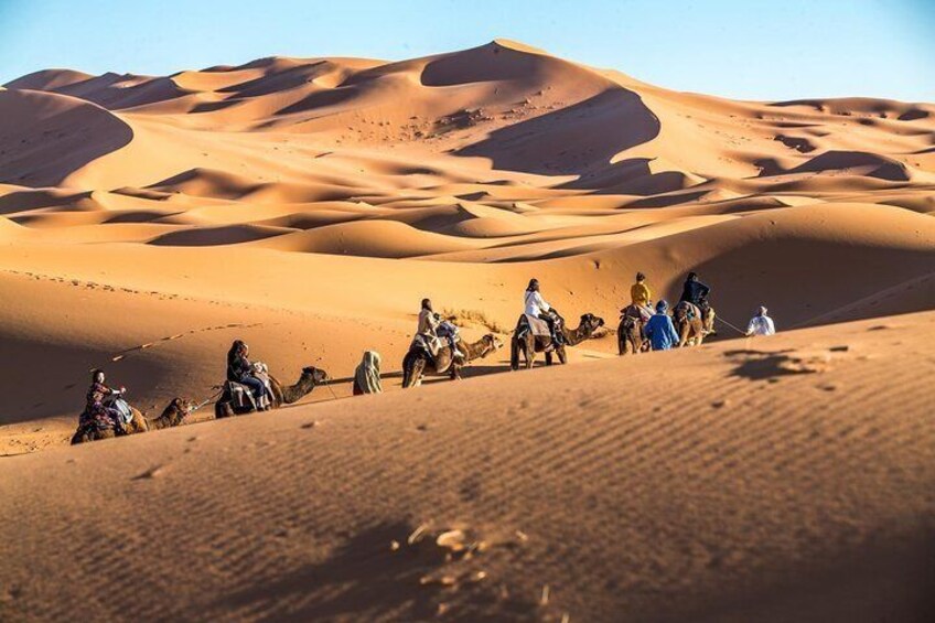 Un voyage dans le désert marocain ne serait pas complet sans une randonnée à dos de chameau dans les dunes