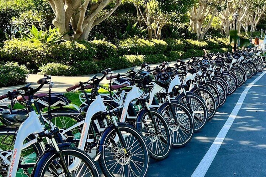 Electric Bike Fleet 