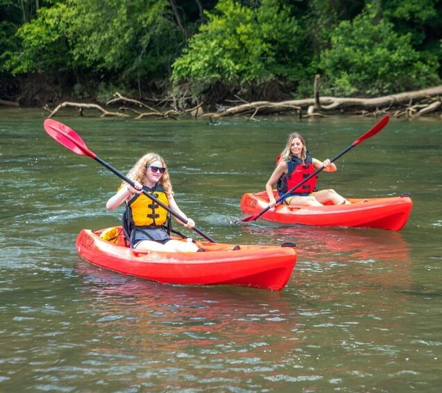 Chattahoochee Roswell: Single Kayak Rental