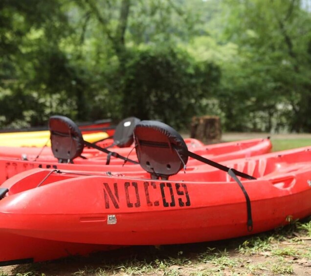 Picture 4 for Activity Chattahoochee Roswell: Single Kayak Rental