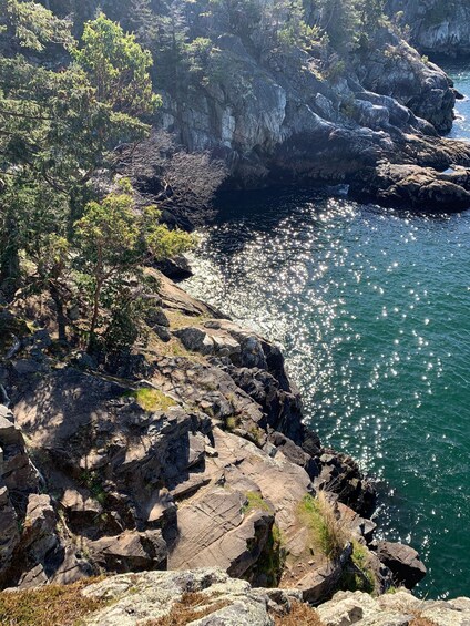 Vancouver: Lighthouse Park Hike