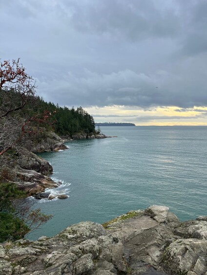 Picture 9 for Activity Vancouver: Lighthouse Park Hike