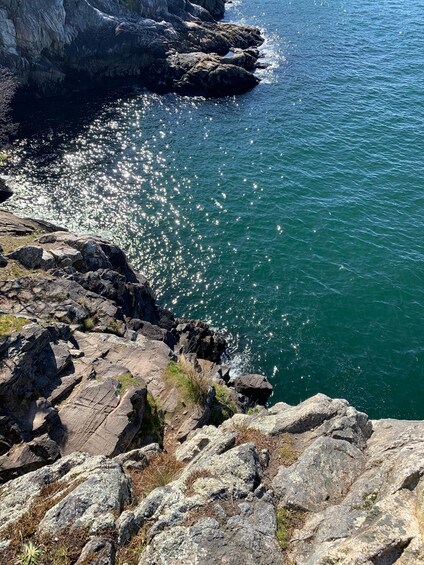 Picture 1 for Activity Vancouver: Lighthouse Park Hike