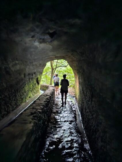 Picture 4 for Activity Private Tour: Caldeirão Verde Levada By Overland Madeira