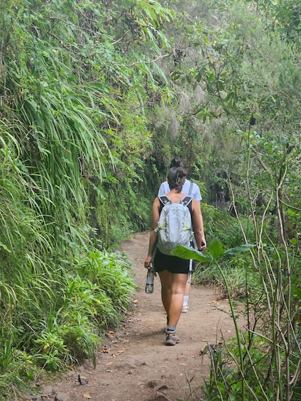 Picture 1 for Activity Private Tour: Caldeirão Verde Levada By Overland Madeira