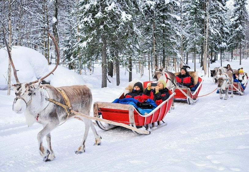 Picture 1 for Activity Rovaniemi: Authentic Reindeer Farm Visit and Sleigh Ride