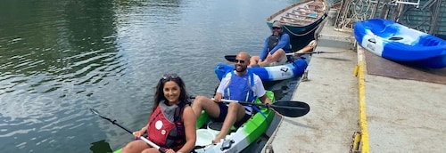 Experiencia grupal en kayak en el hermoso Támesis en Richmond