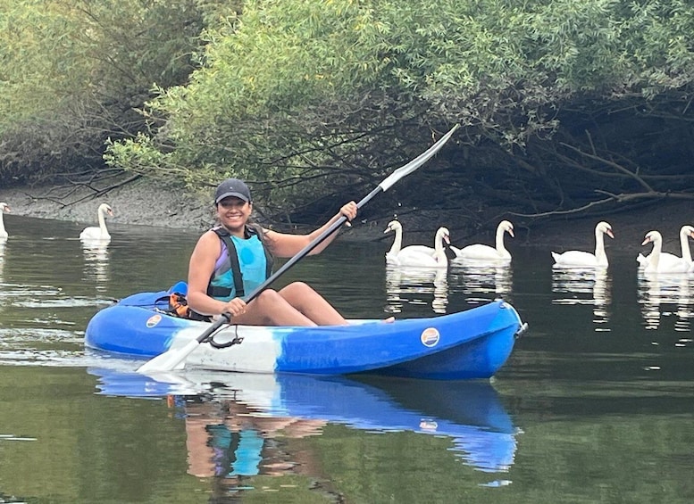 Picture 3 for Activity Group Kayak Experience on the beautiful Thames at Richmond