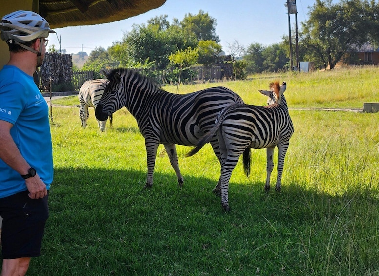 Picture 5 for Activity Hike in a Wildlife Reserve with Wild Animals (no predators)