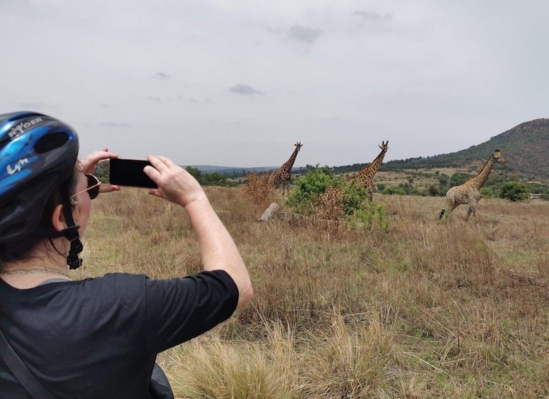 Picture 7 for Activity Hike in a Wildlife Reserve with Wild Animals (no predators)