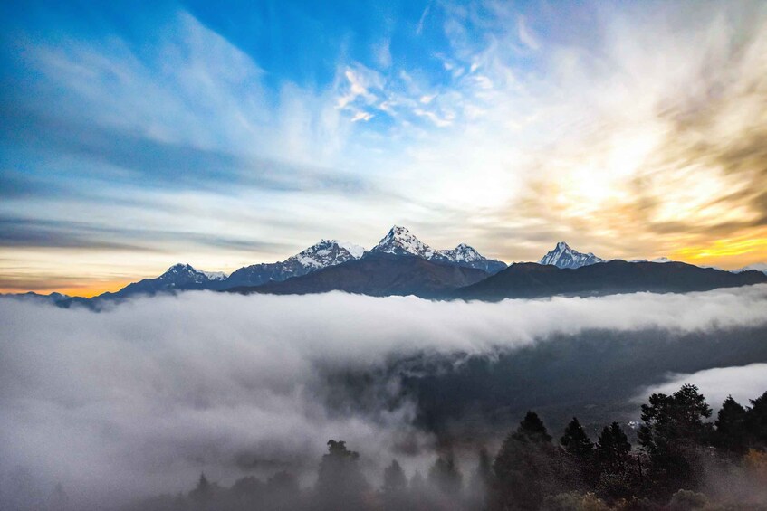 Picture 1 for Activity Ghorepani Poonhill: 3-days Trek