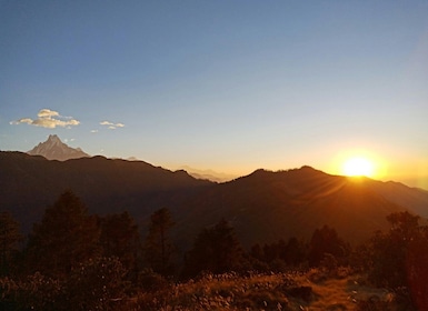 Ghorepani Poonhill: 3-days Trek