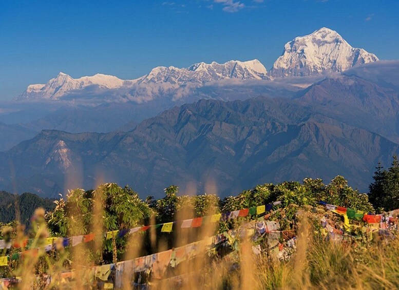 Picture 3 for Activity Ghorepani Poonhill: 3-days Trek