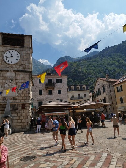 Picture 5 for Activity Best from our coast (Kotor bay, Budva,Sv Stefan,Skadar lake)