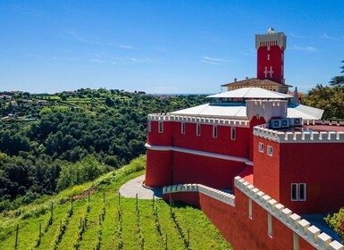 Degustación de vinos, Cannes, diseñadores famosos y fábrica de perfumes