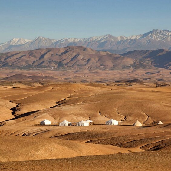 Picture 19 for Activity Marrakech: Agafay Desert Dinner with Music and Fire Show