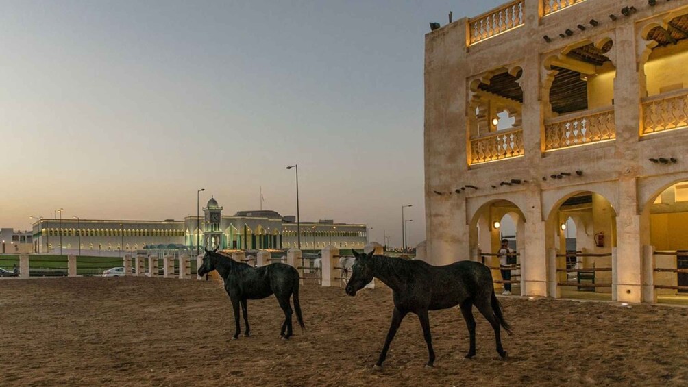 Picture 9 for Activity Doha Night City Tour | Souq Waqif | Katara | The Pearl Qatar