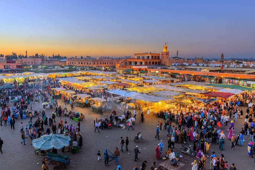 Picture 4 for Activity Guided Marrakech day trip from Agadir