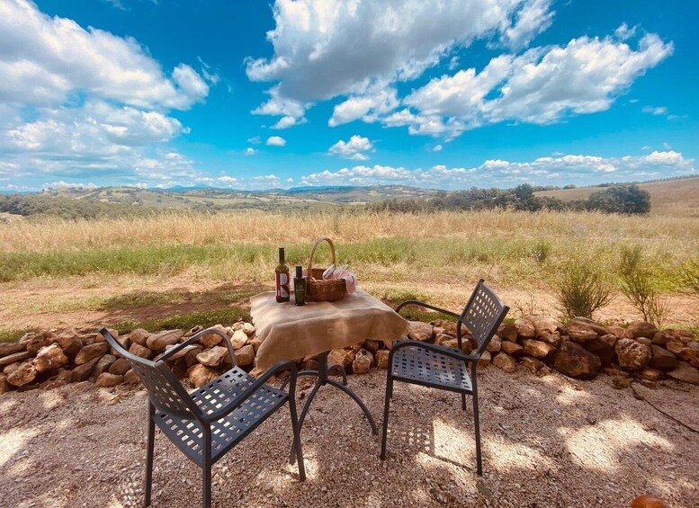 Organic farm picnic in Maremma Tuscany