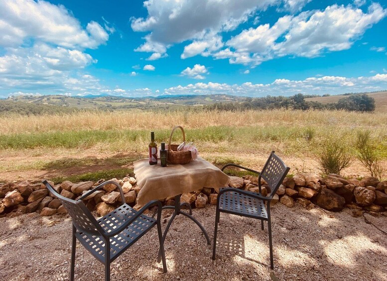 Organic farm picnic in Maremma Tuscany